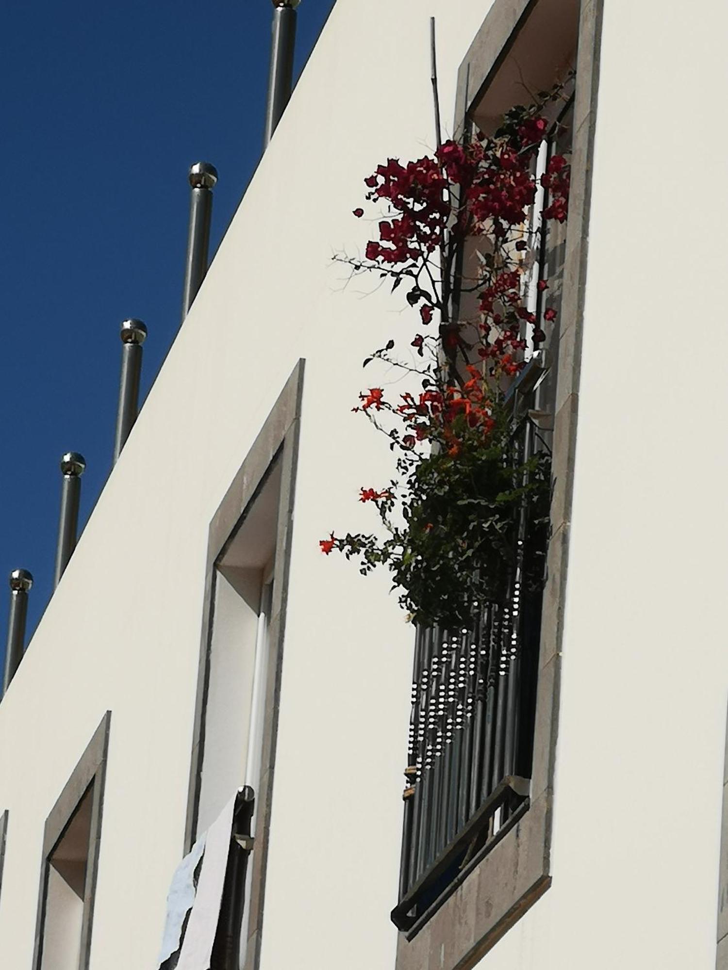 Ferienwohnung Puerto De Mogan Sonneland Exterior foto