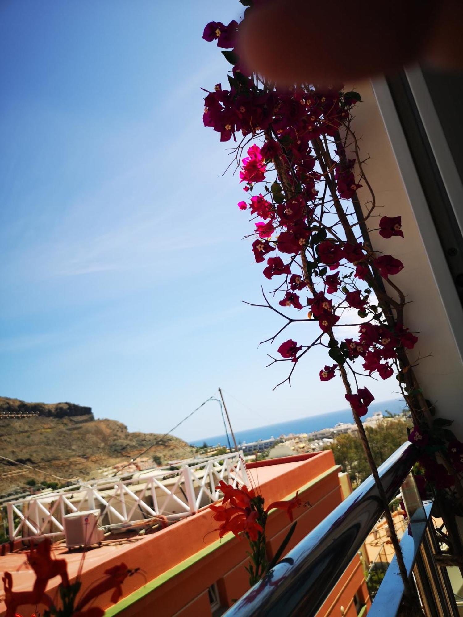 Ferienwohnung Puerto De Mogan Sonneland Exterior foto